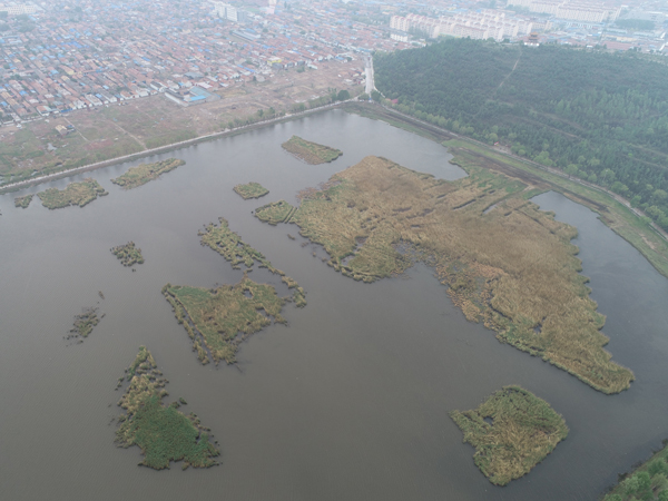 神池县西海子湿地公园