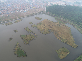 神池县西海子湿地公园