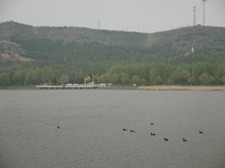神池县西海子湿地公园