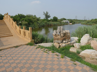 天津市大港湿地公园
