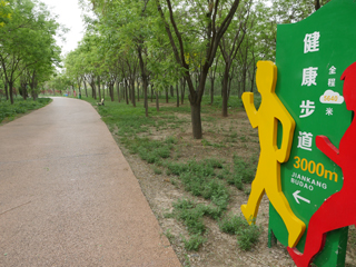 天津市官港森林公园