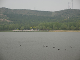 神池县西海子湿地公园