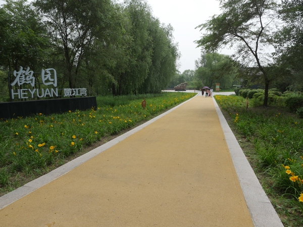 大安市嫩江湾旅游区七月初，鹤园