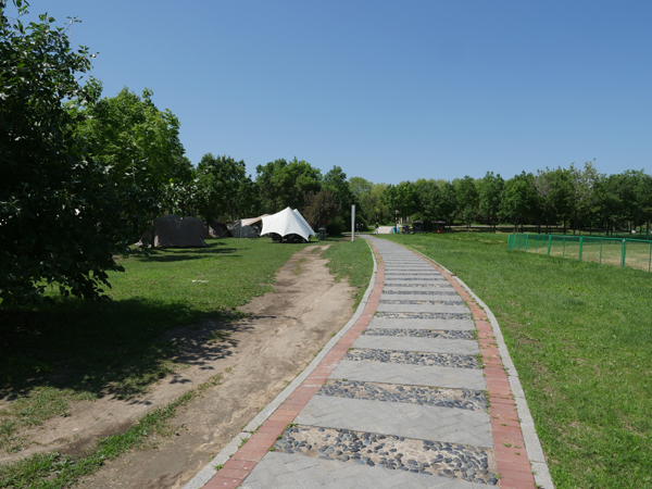 大庆龙凤湿地公园七月初，夏季多有人露营
