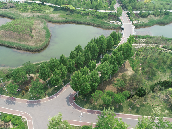 东营植物园