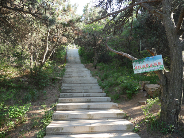 首山国家森林公园六月上旬，登山石径
