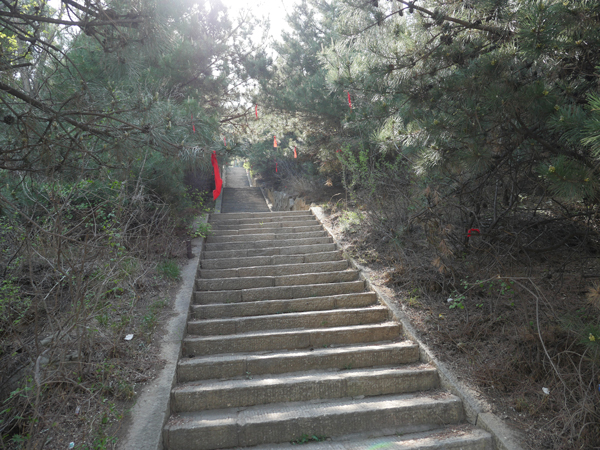 阳泉狮脑山公园