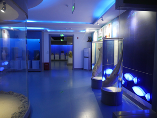 大安市嫩江湾旅游区渔猎博物馆，淡水鱼类标本陈列展厅