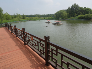 大安市嫩江湾旅游区七月初，鹤园