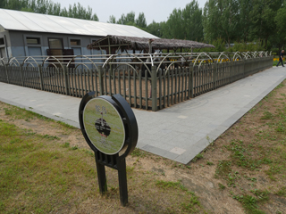 大安市嫩江湾旅游区七月初，萌宠乐园，鸵鸟