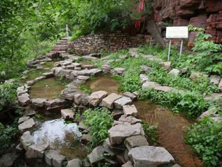 锦山自然生态风景区五月下旬，莲池圣水