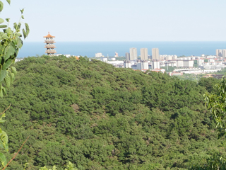 首山国家森林公园六月上旬，望海塔