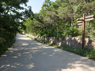 首山国家森林公园六月上旬，环山道