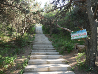 首山国家森林公园六月上旬，登山石径