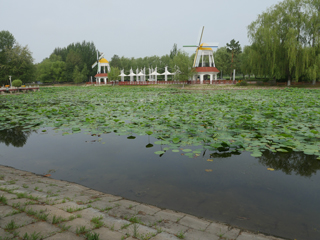 洮南市锦湖湿地公园