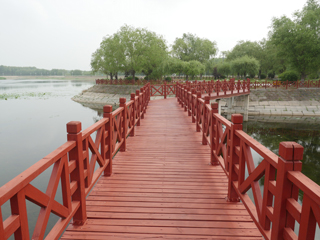 洮南市锦湖湿地公园