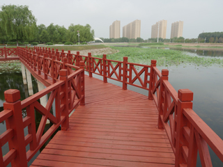 洮南市锦湖湿地公园