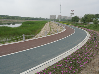 洮南市锦湖湿地公园