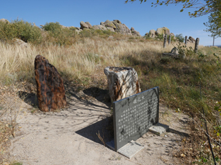 乌里雅斯太山，硅化木
