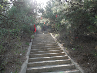阳泉狮脑山公园