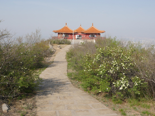 阳泉狮脑山公园