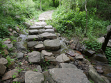锦山自然生态风景区