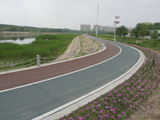 洮南市锦湖湿地公园