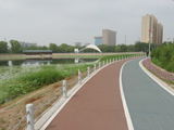 洮南市锦湖湿地公园