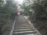 阳泉狮脑山公园